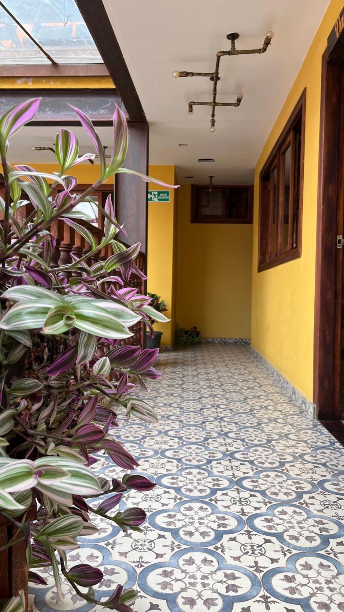 Hostal Casa Astromelia Bogotá Eksteriør bilde